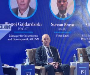 (Македонски) ДИРЕКТОРОТ НА РАЗВОЈ И ИНВЕСТИЦИИ НА МЕФ 2021